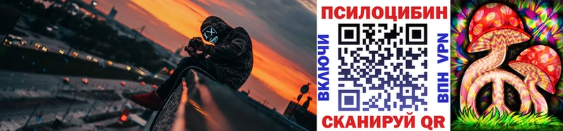 Купить  Горячий Ключ  Галлюциногенные грибы Cubensis 