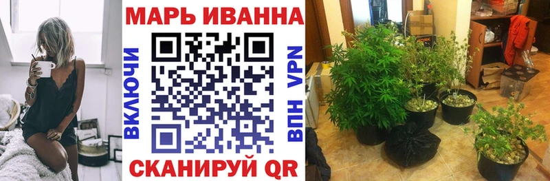 Конопля индика  Купить где  Горячий Ключ 